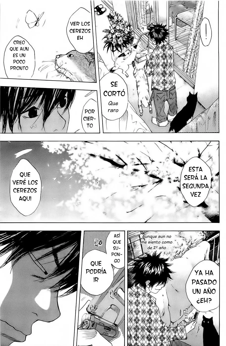 Ahiru no Sora capítulo 206, página 7