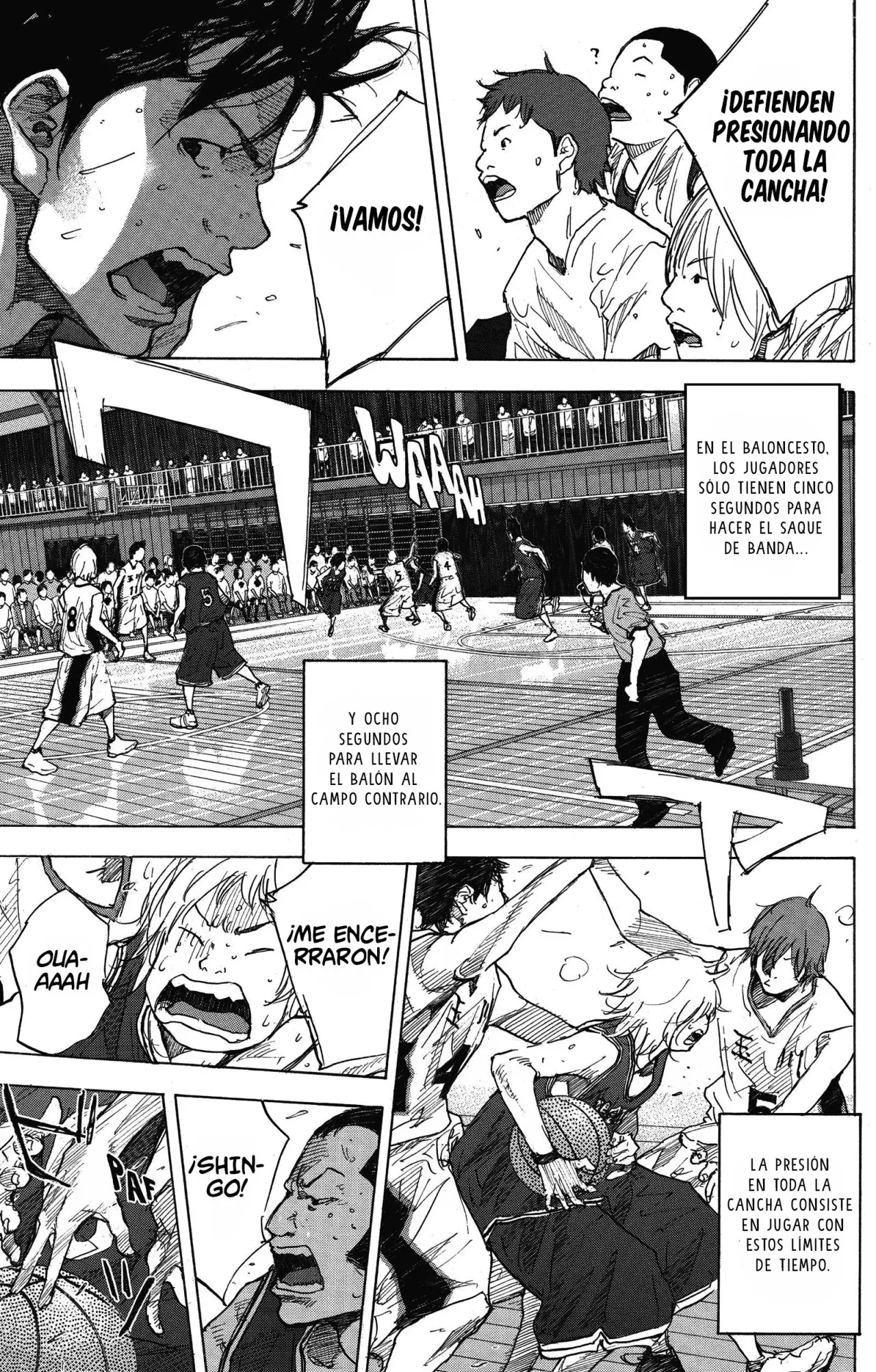 Ahiru no Sora capítulo 238, página 16