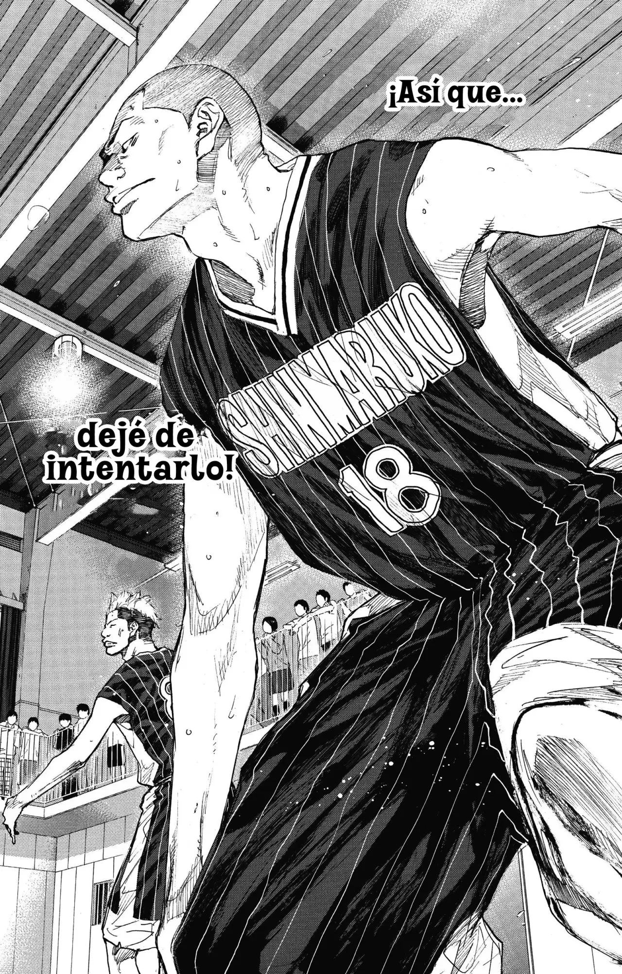 Ahiru no Sora capítulo 249.5, página 45
