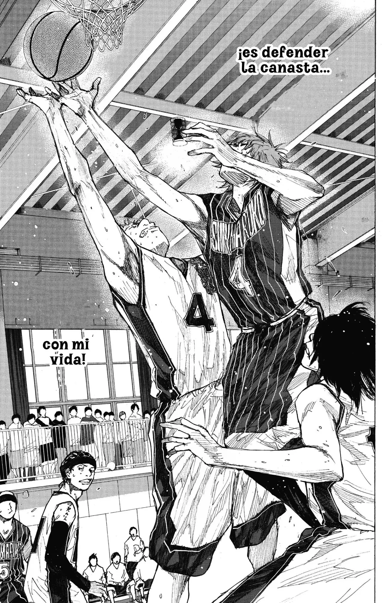 Ahiru no Sora capítulo 250, página 25