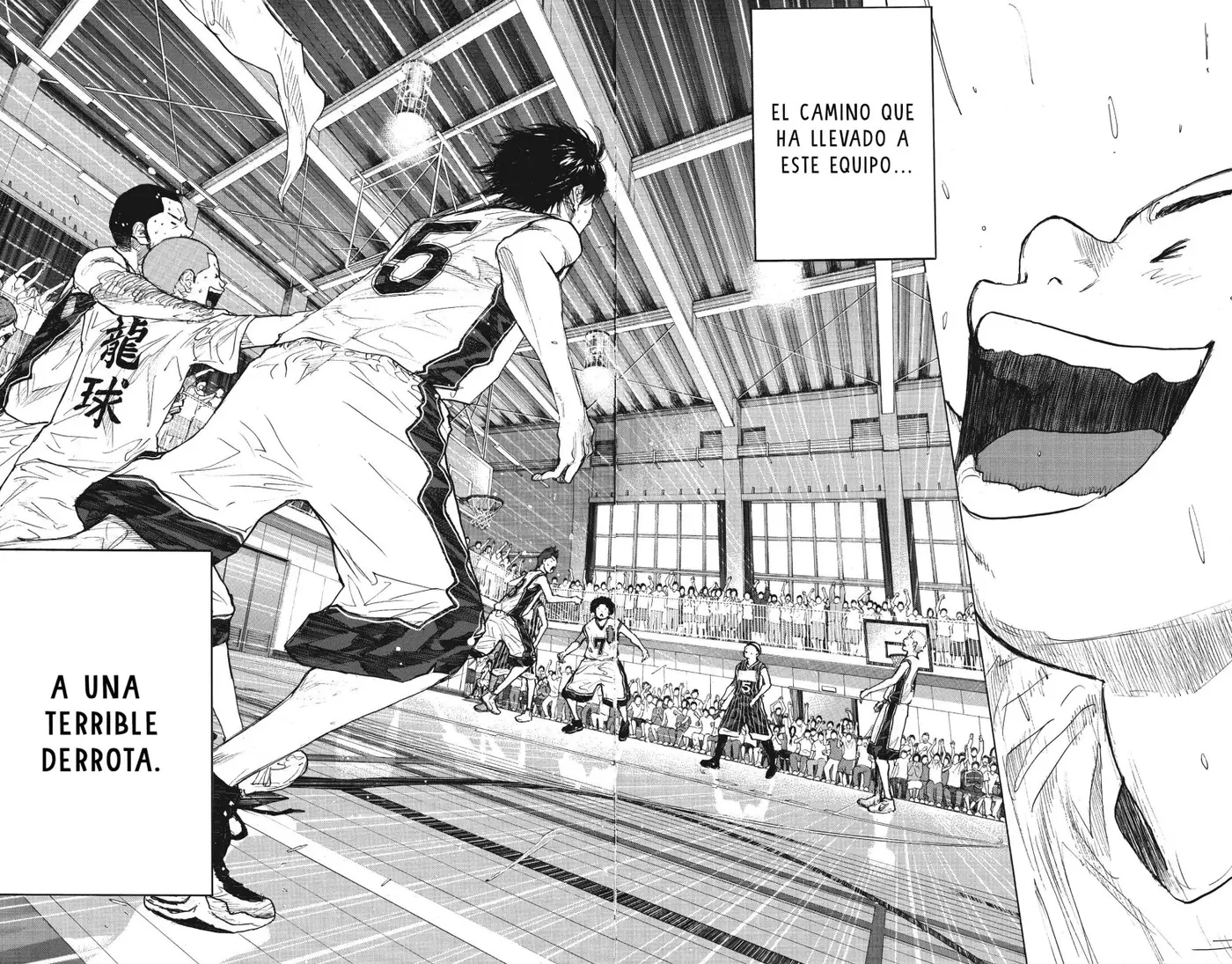 Ahiru no Sora capítulo 251, página 95
