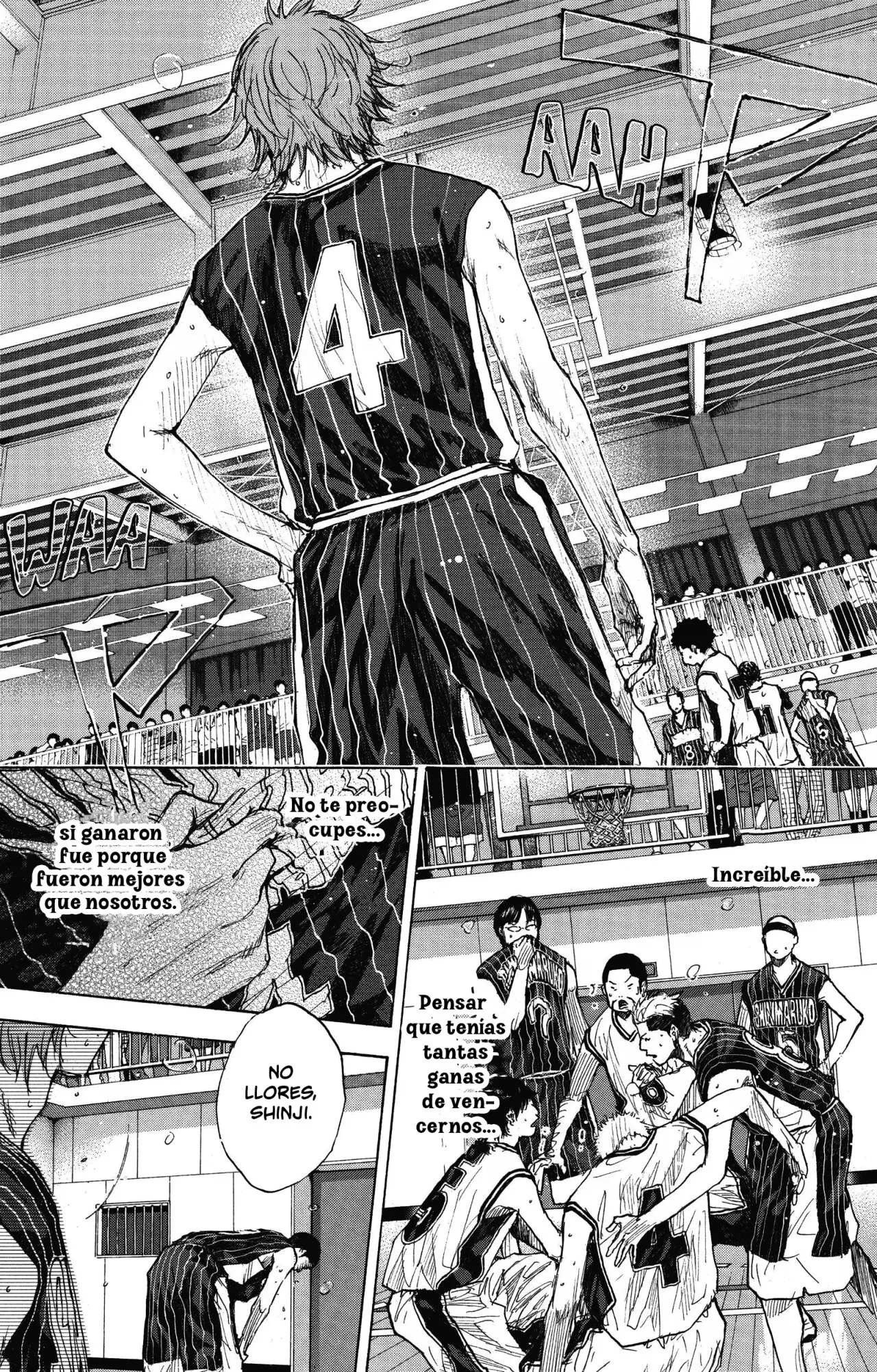 Ahiru no Sora capítulo 252, página 17