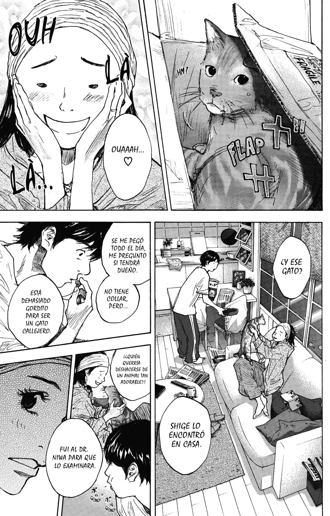 Ahiru no Sora capítulo 253.5, página 8