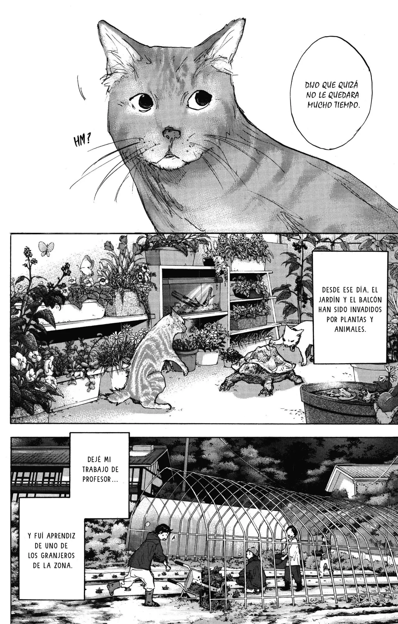 Ahiru no Sora capítulo 253.5, página 9