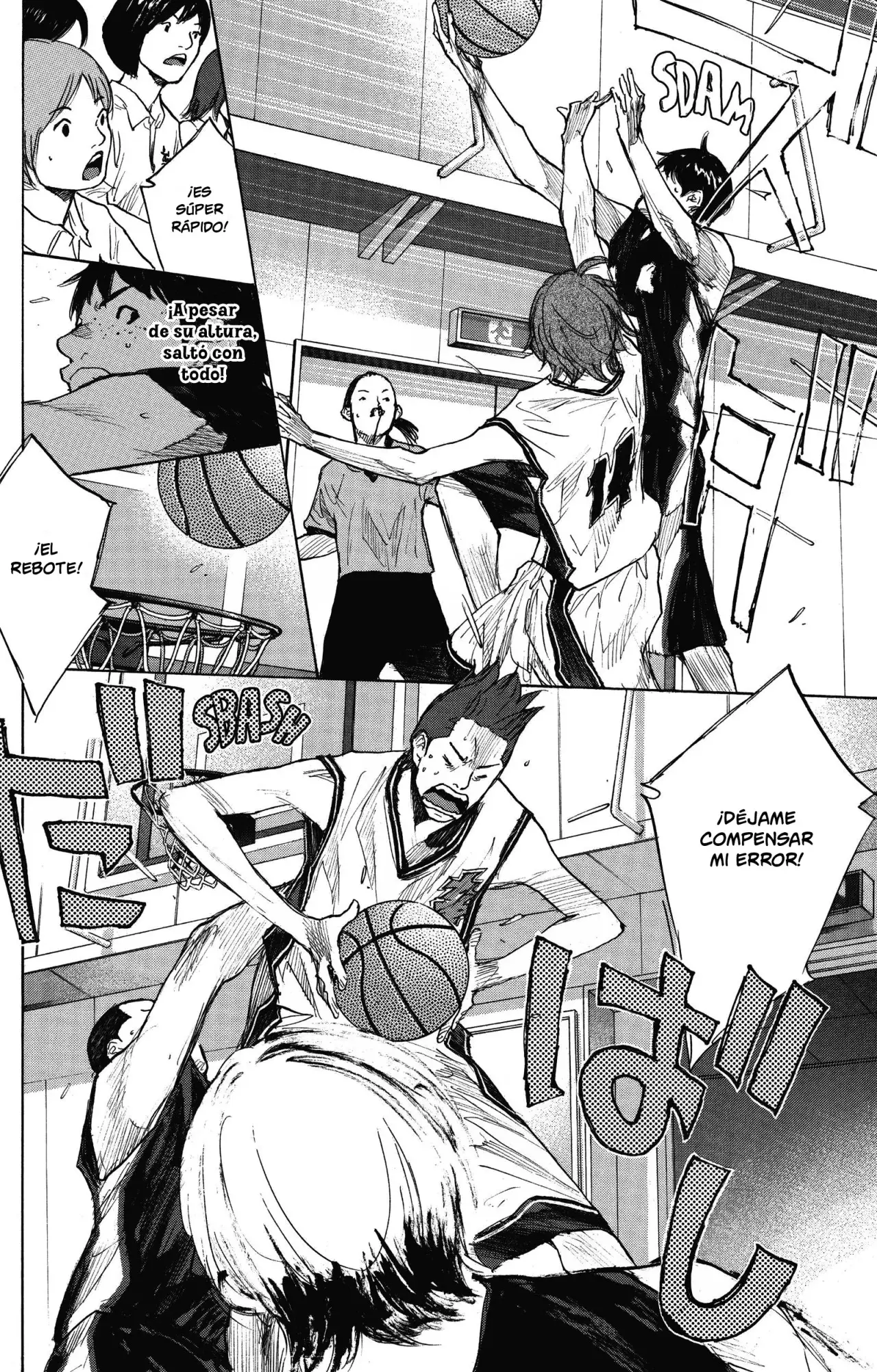 Ahiru no Sora capítulo 263.5, página 47
