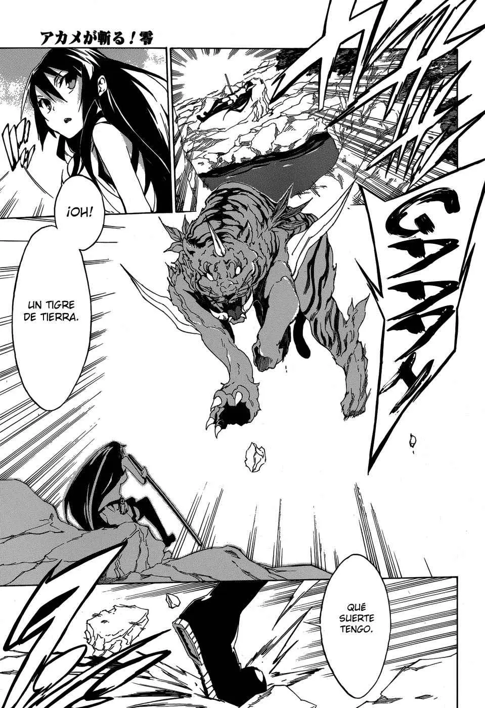 Akame ga KILL! ZERO capítulo 2, página 15