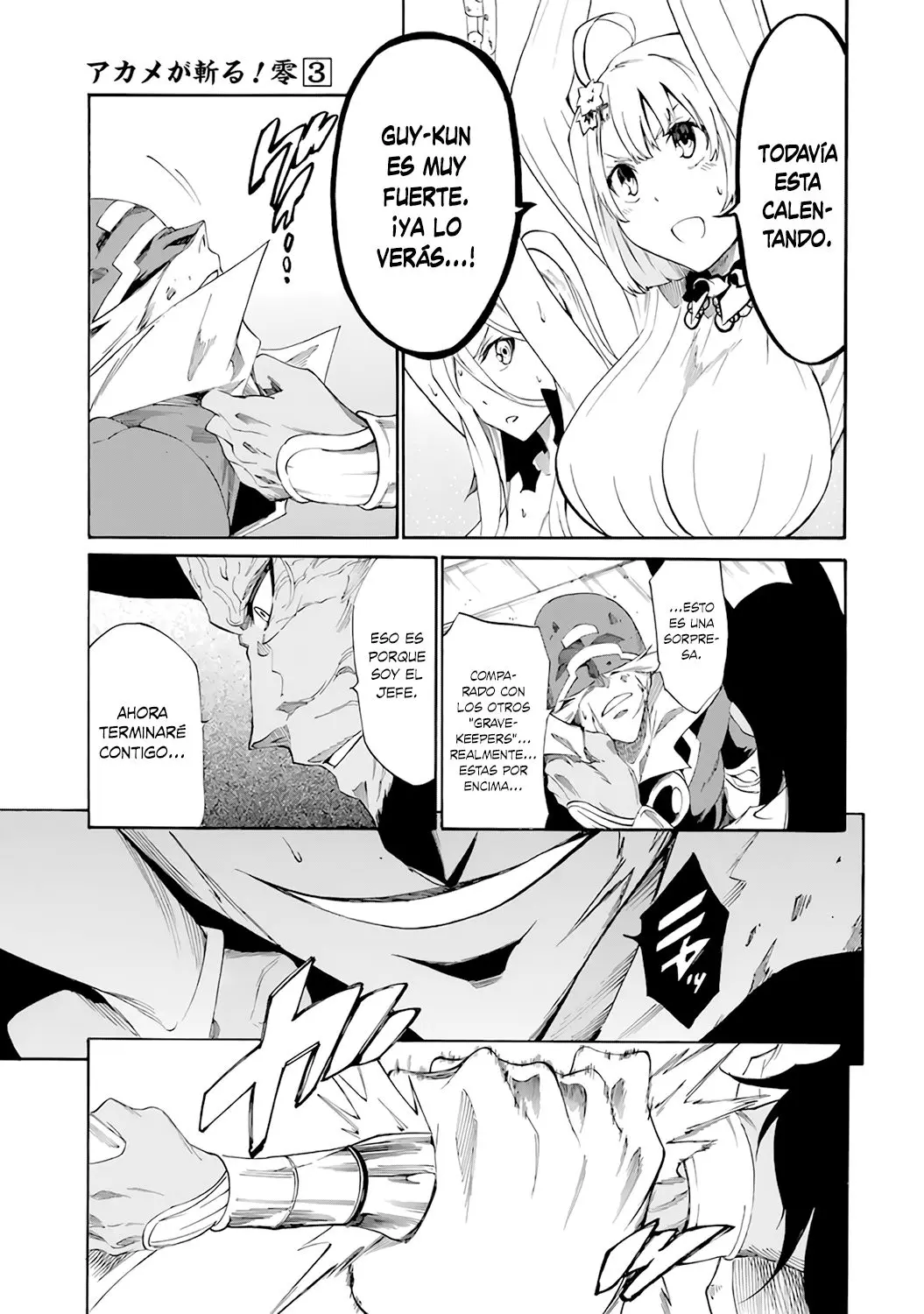 Akame ga KILL! ZERO capítulo 20, página 13