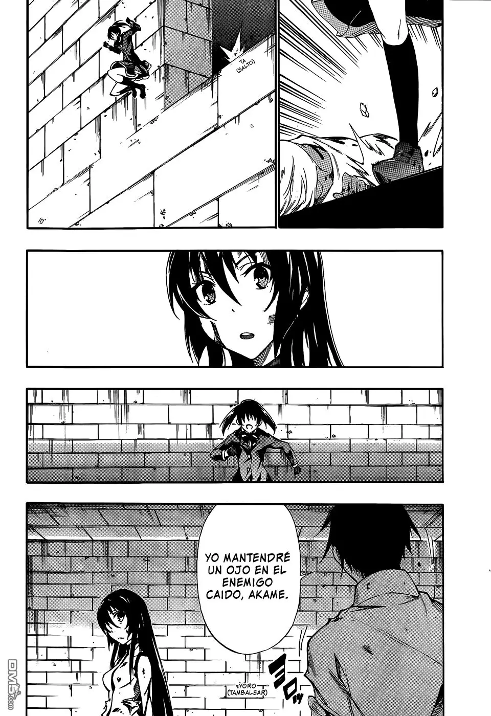 Akame ga KILL! ZERO capítulo 23, página 19