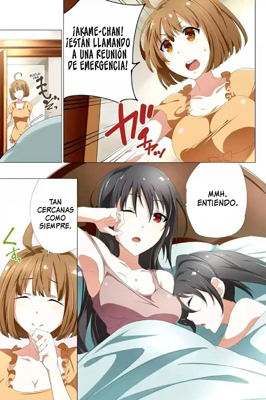 Akame ga KILL! ZERO capítulo 26, página 5
