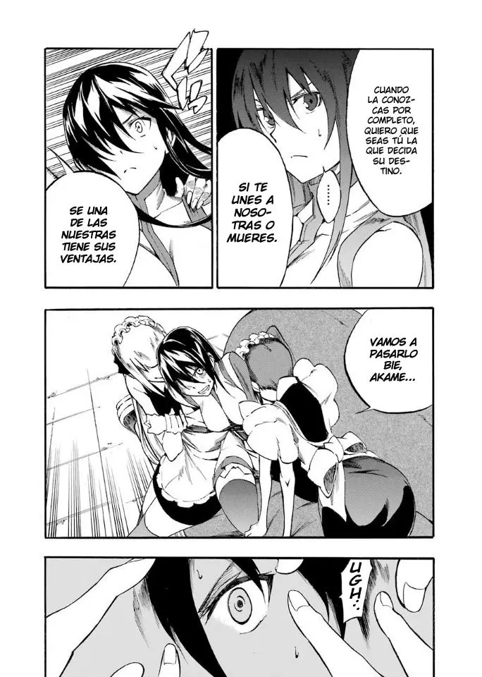 Akame ga KILL! ZERO capítulo 38, página 29