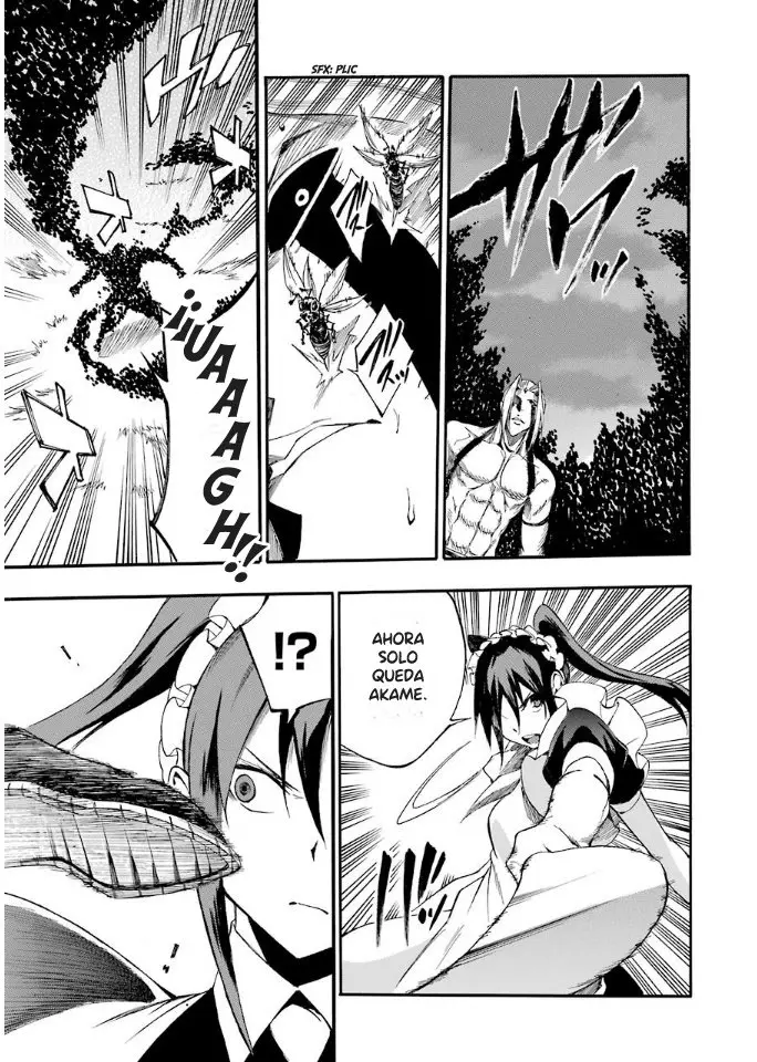 Akame ga KILL! ZERO capítulo 41, página 17