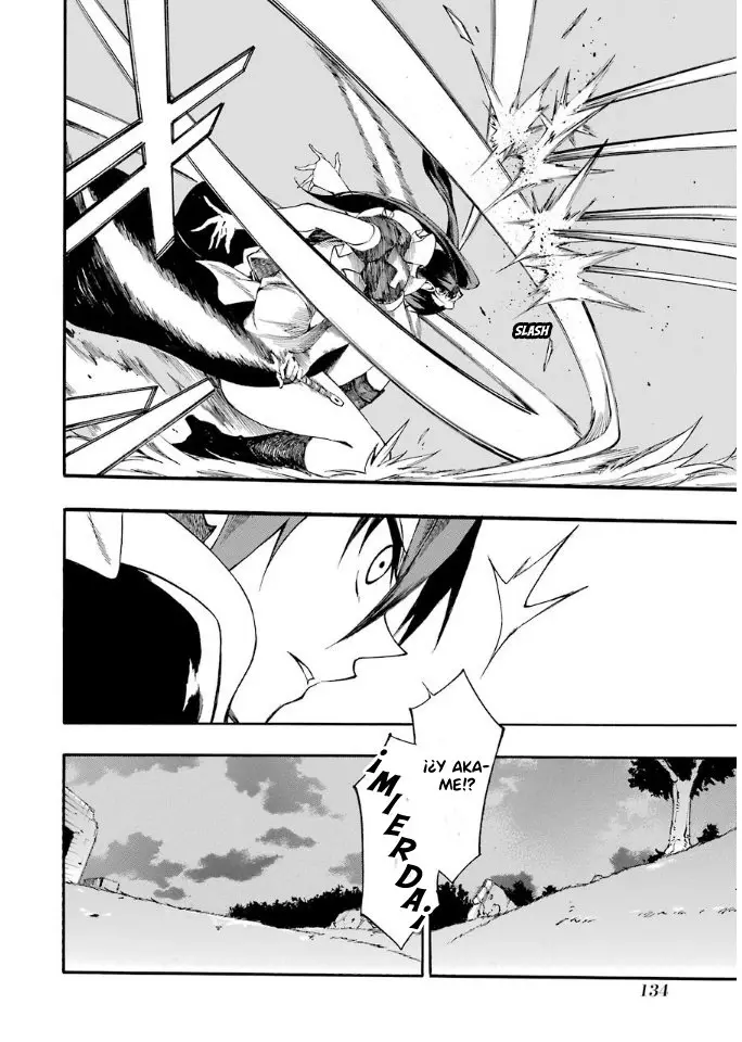 Akame ga KILL! ZERO capítulo 41, página 24