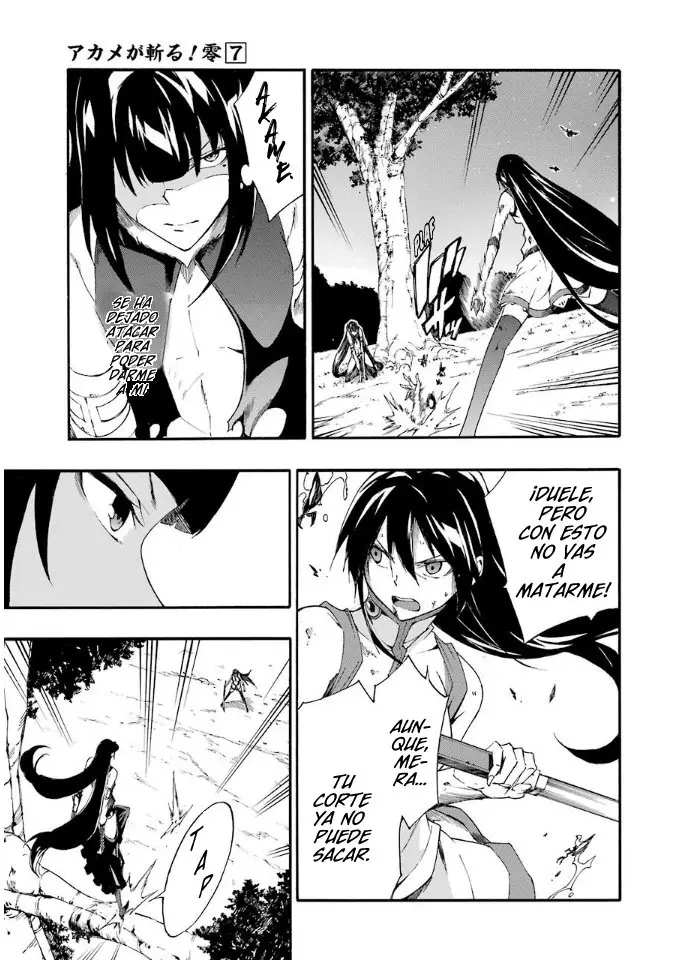 Akame ga KILL! ZERO capítulo 42, página 18