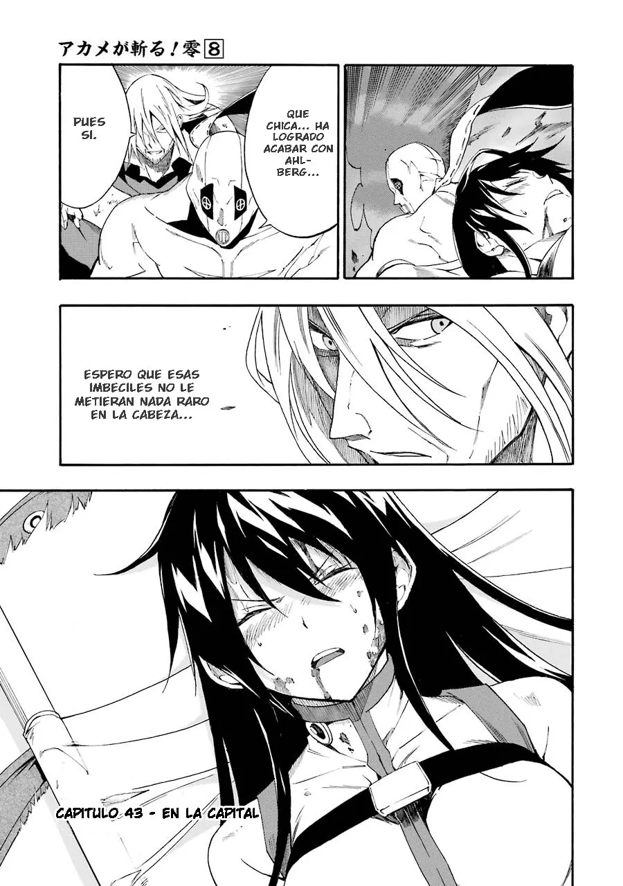 Akame ga KILL! ZERO capítulo 43, página 4