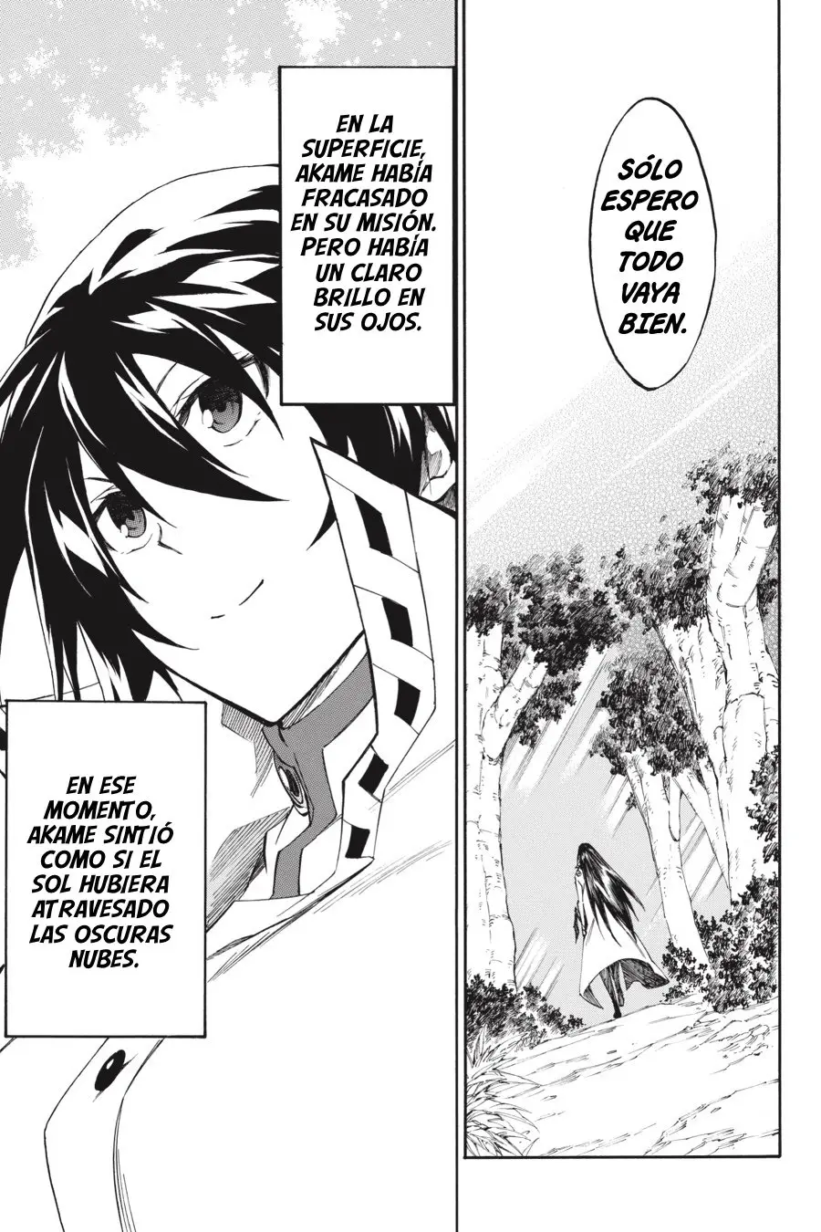 Akame ga KILL! ZERO capítulo 53, página 12