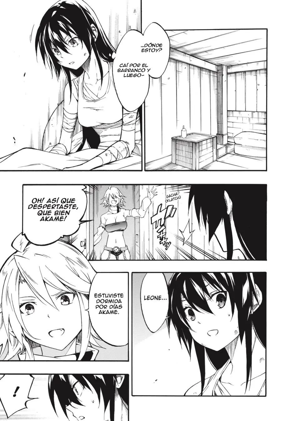 Akame ga KILL! ZERO capítulo 58, página 8
