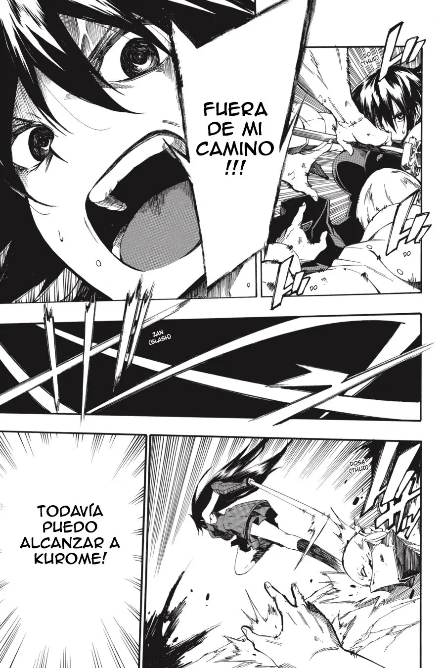 Akame ga KILL! ZERO capítulo 60, página 13