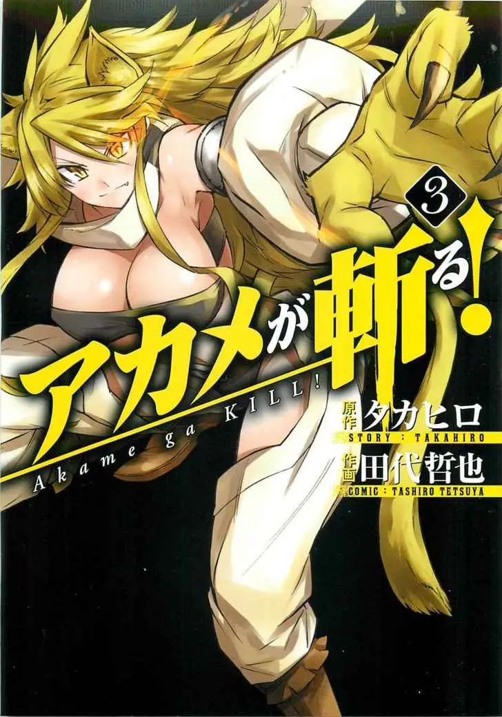Akame ga Kill! capítulo 10, página 1