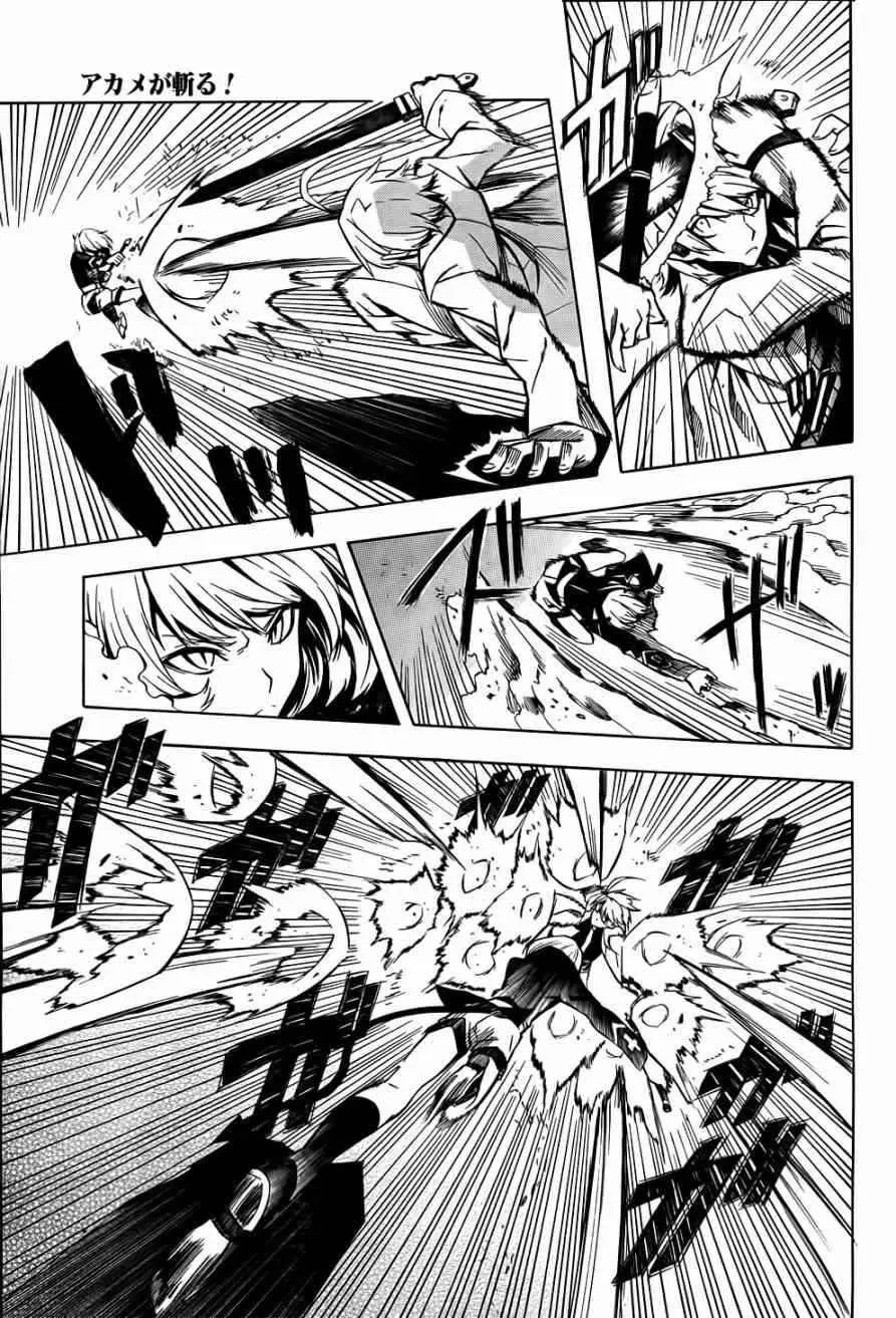 Akame ga Kill! capítulo 13, página 12