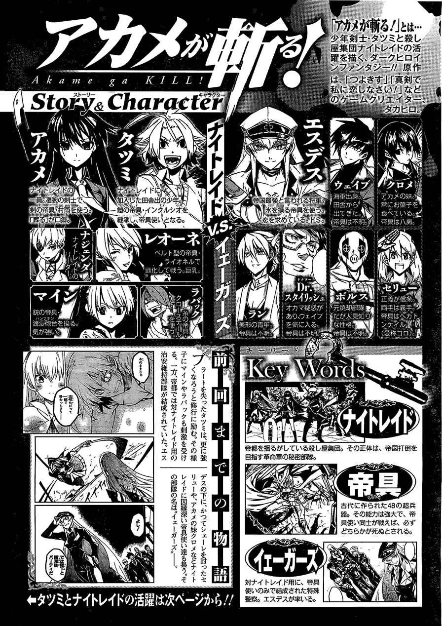 Akame ga Kill! capítulo 16, página 2