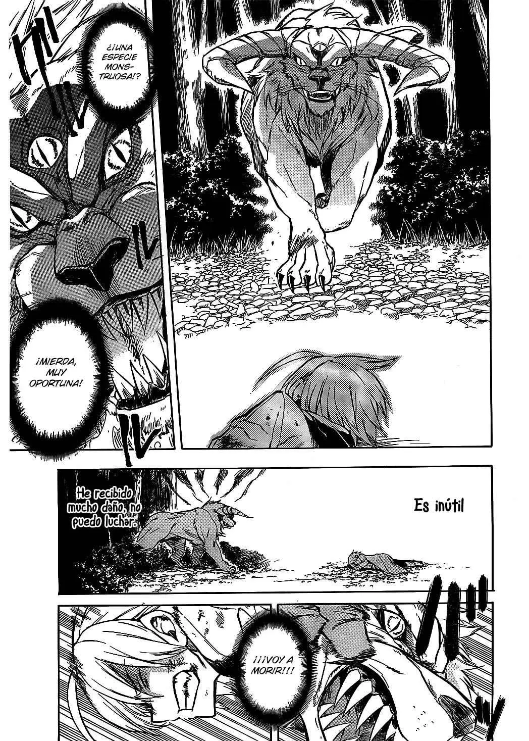 Akame ga Kill! capítulo 19, página 13