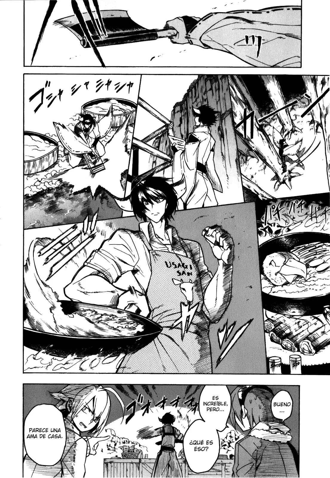 Akame ga Kill! capítulo 22, página 10