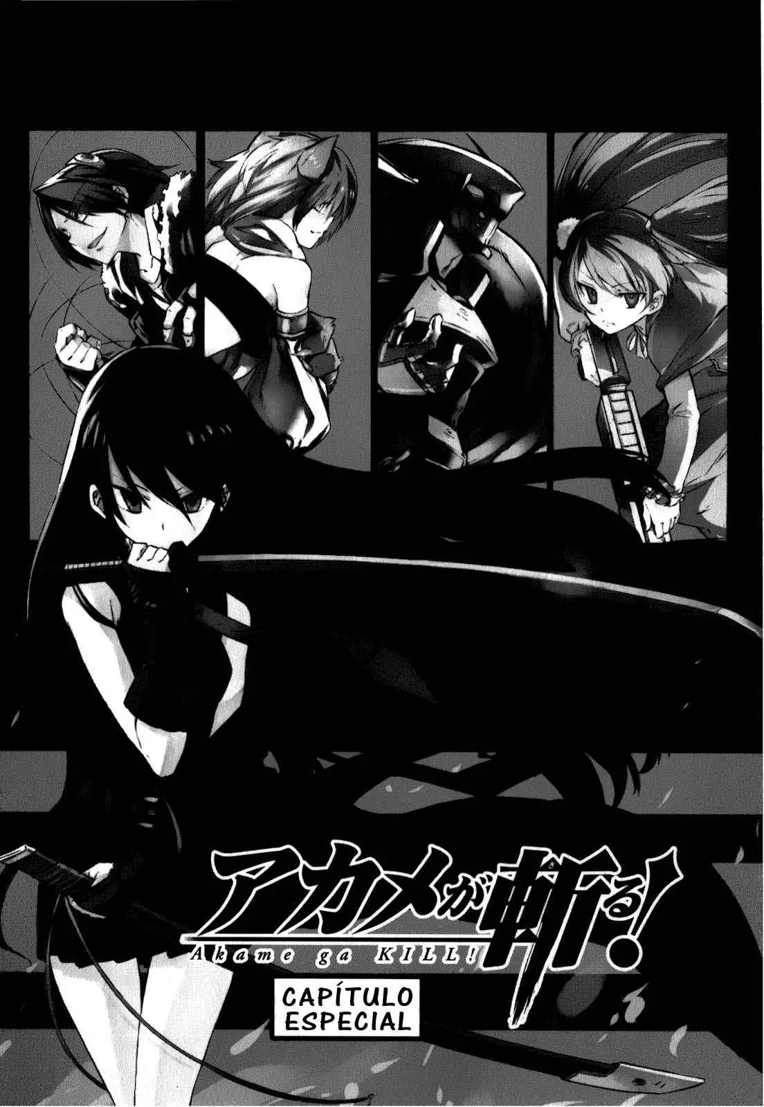 Akame ga Kill! capítulo 23.05, página 3