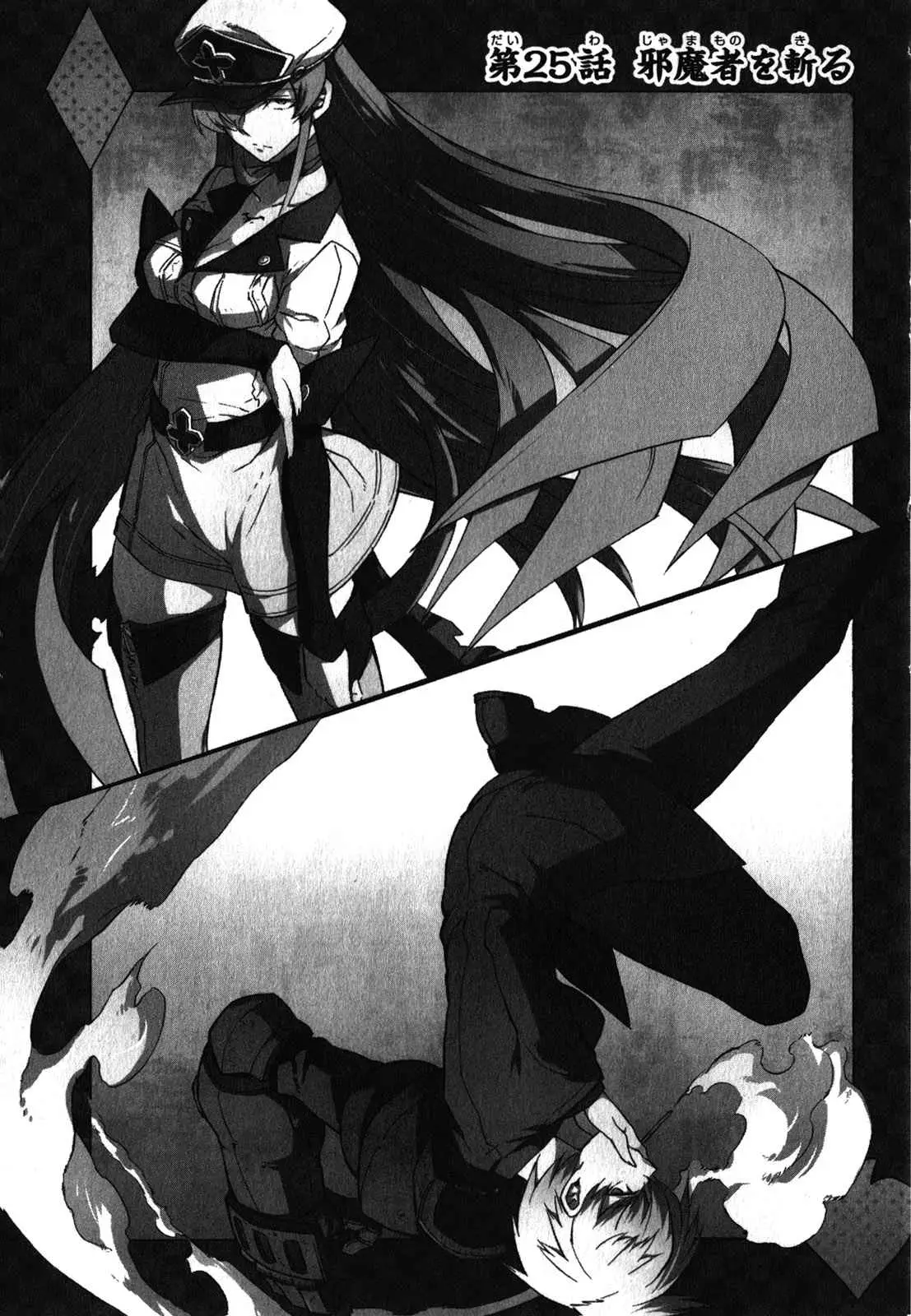 Akame ga Kill! capítulo 25, página 4