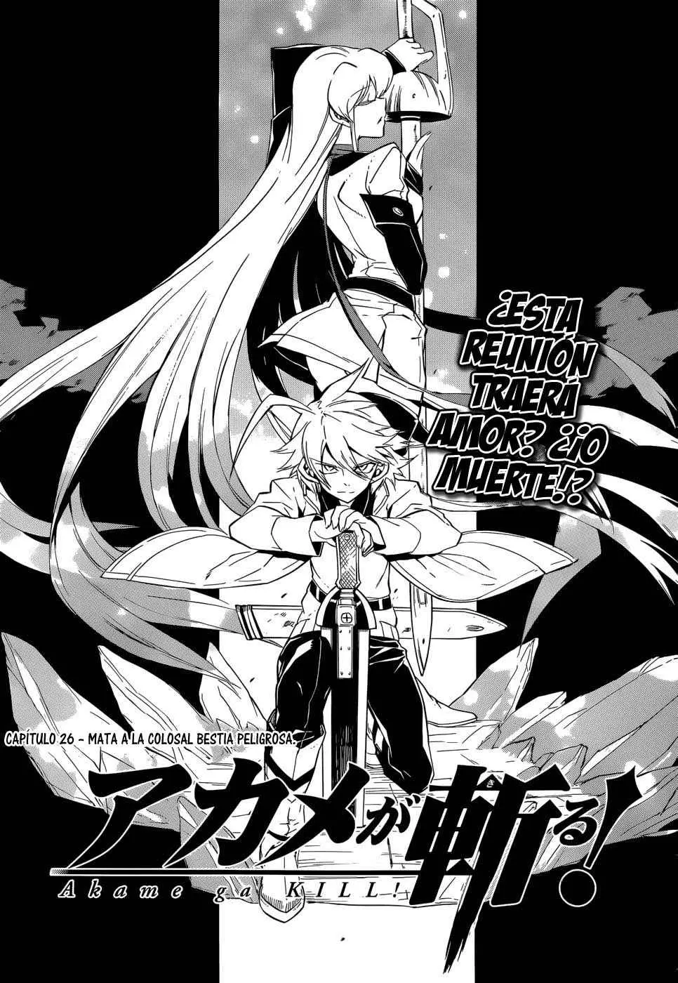 Akame ga Kill! capítulo 26, página 3