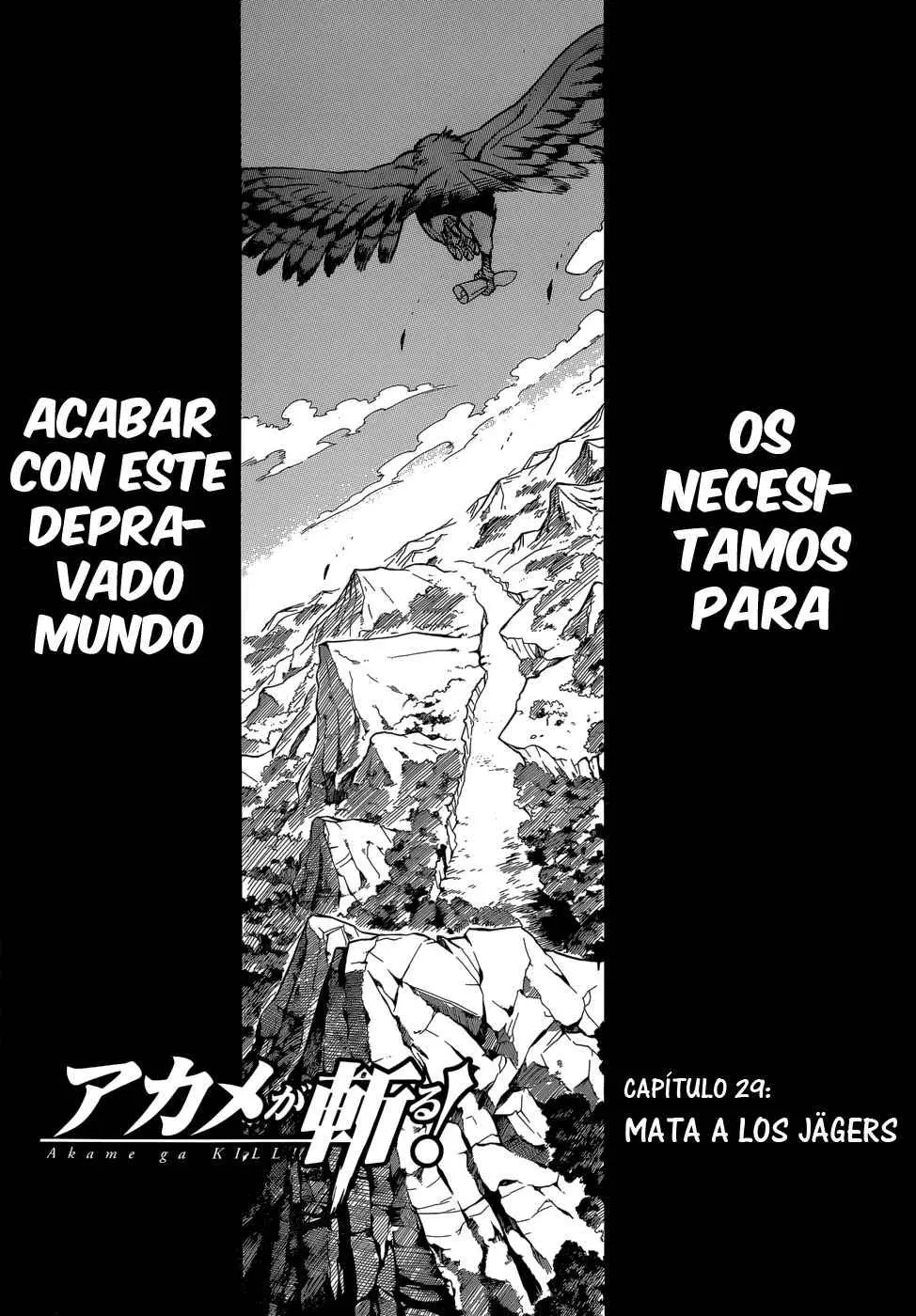 Akame ga Kill! capítulo 29, página 6