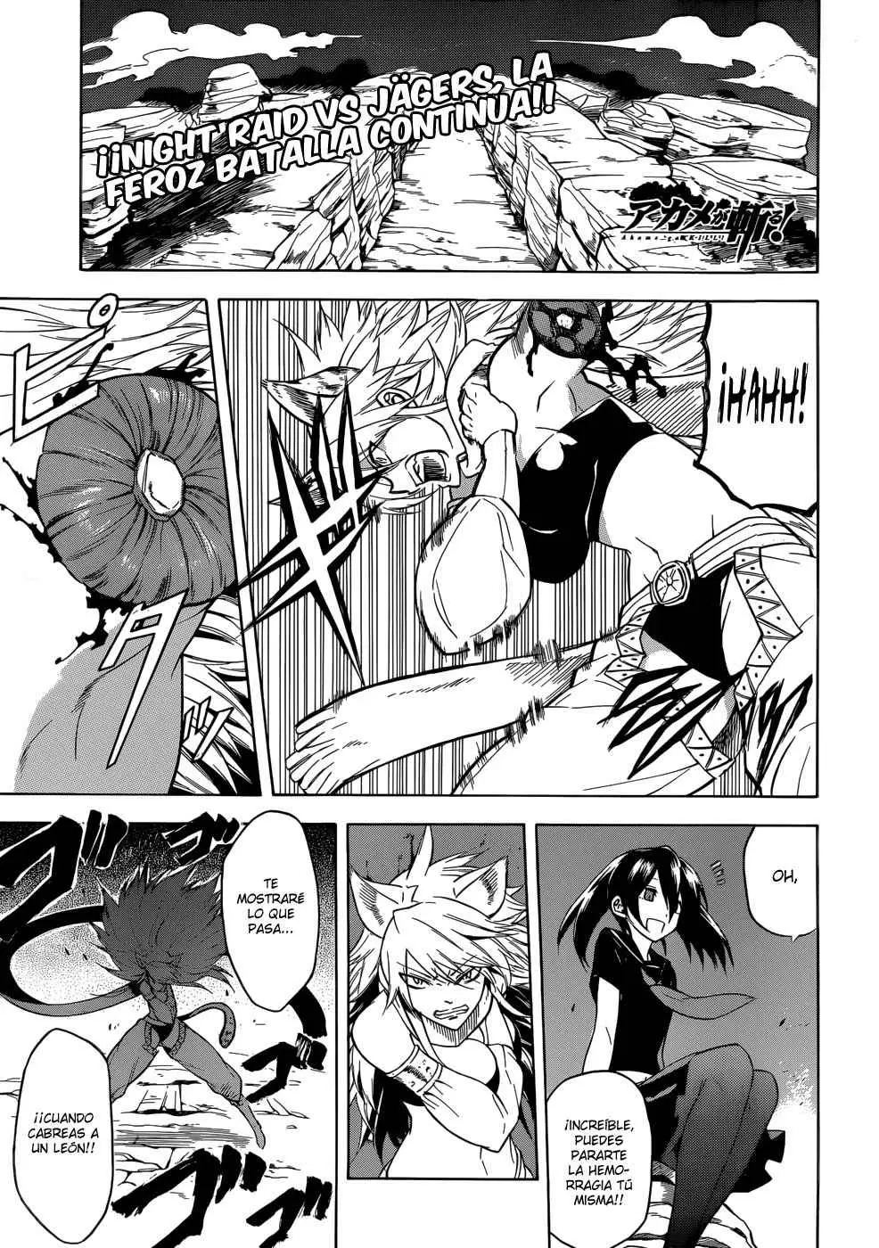 Akame ga Kill! capítulo 30, página 44