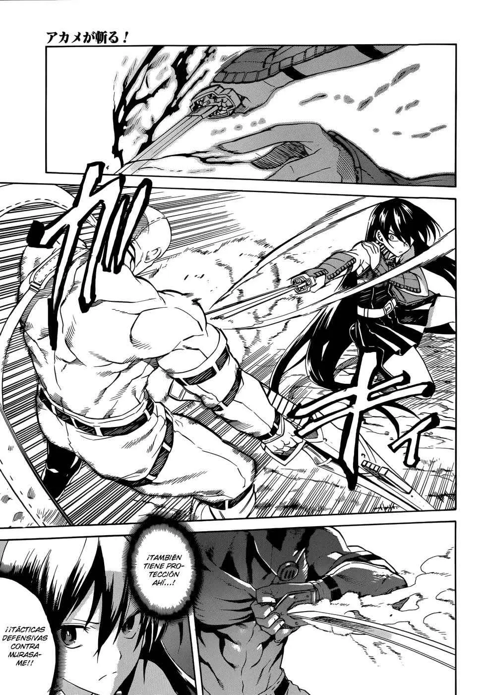 Akame ga Kill! capítulo 31, página 5
