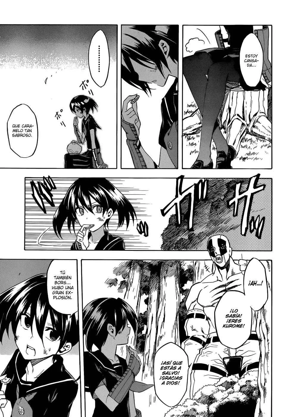Akame ga Kill! capítulo 33, página 13