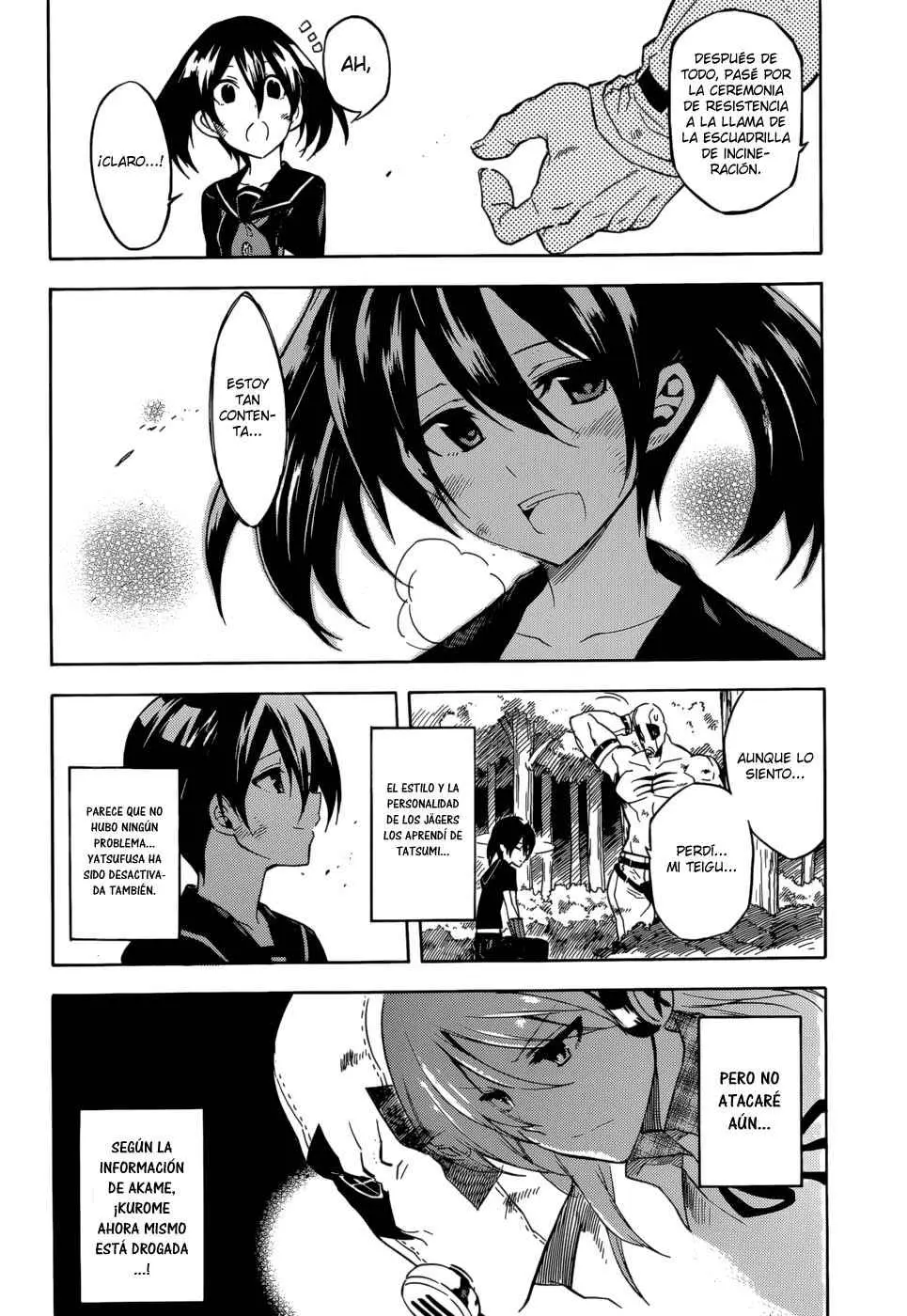 Akame ga Kill! capítulo 33, página 14