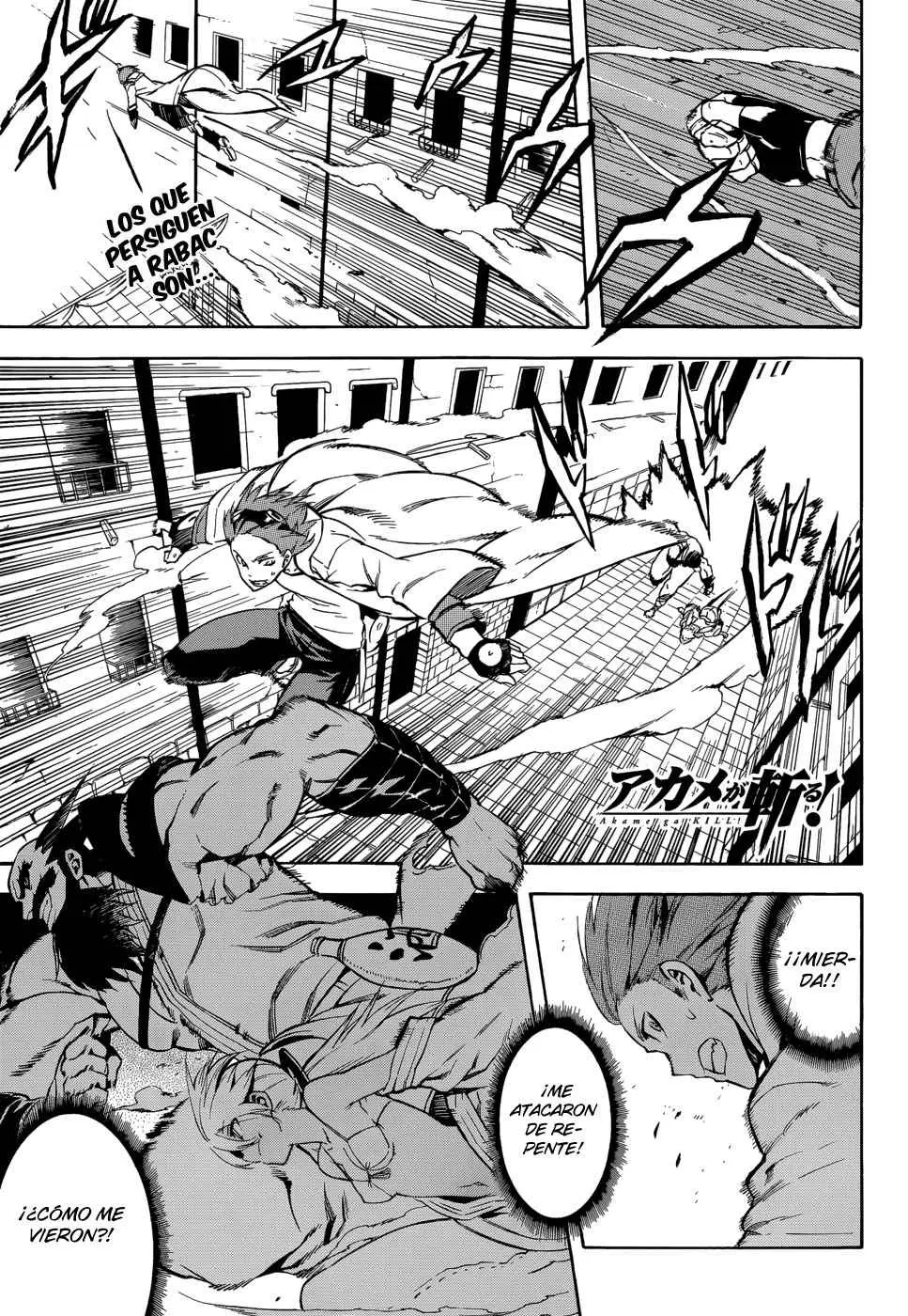 Akame ga Kill! capítulo 35, página 2
