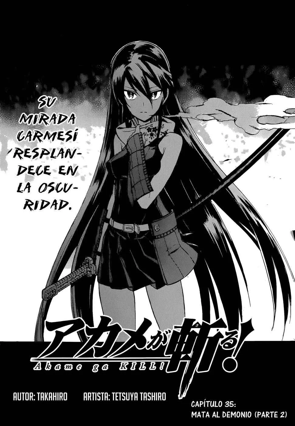 Akame ga Kill! capítulo 35, página 5