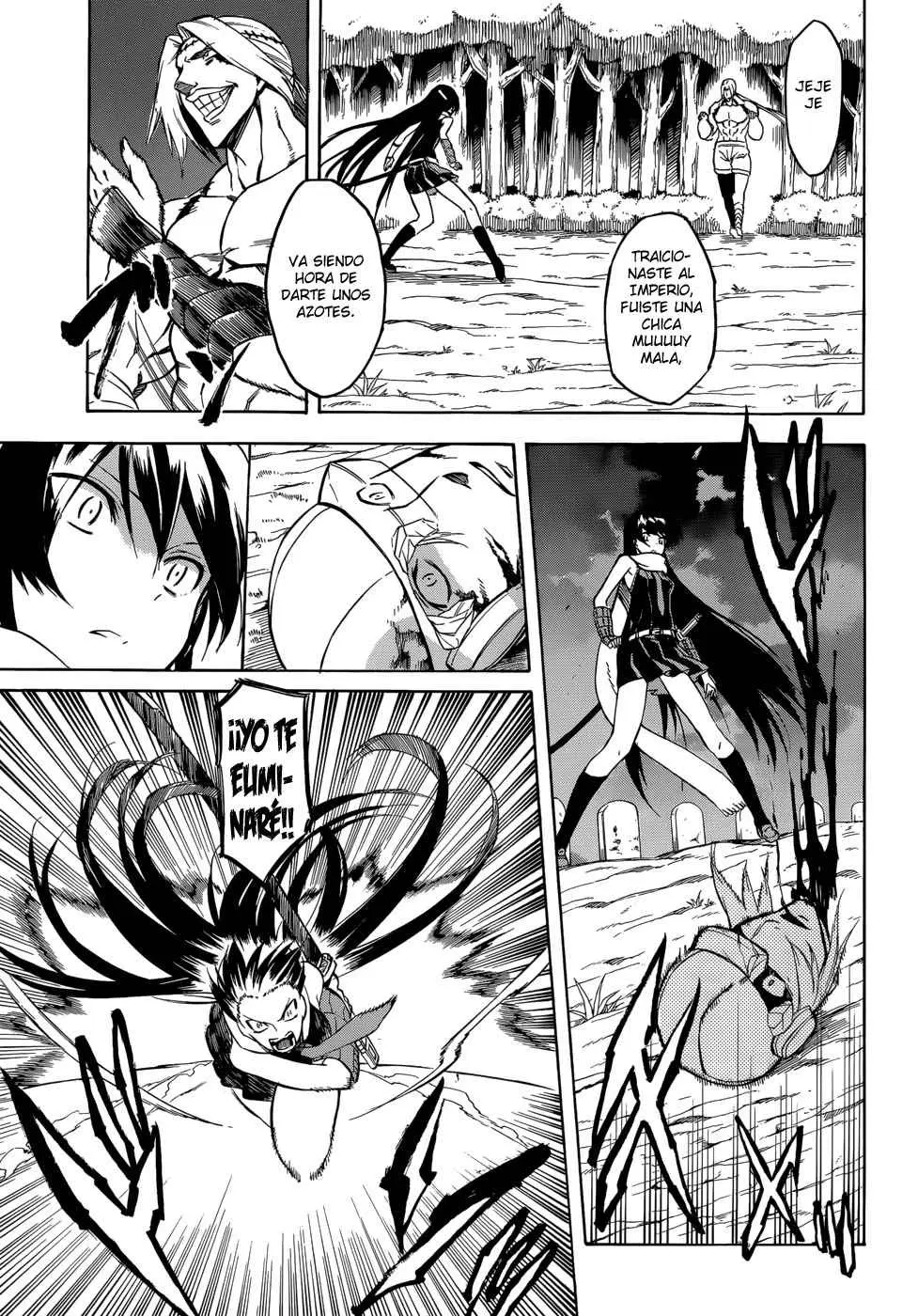 Akame ga Kill! capítulo 35, página 28