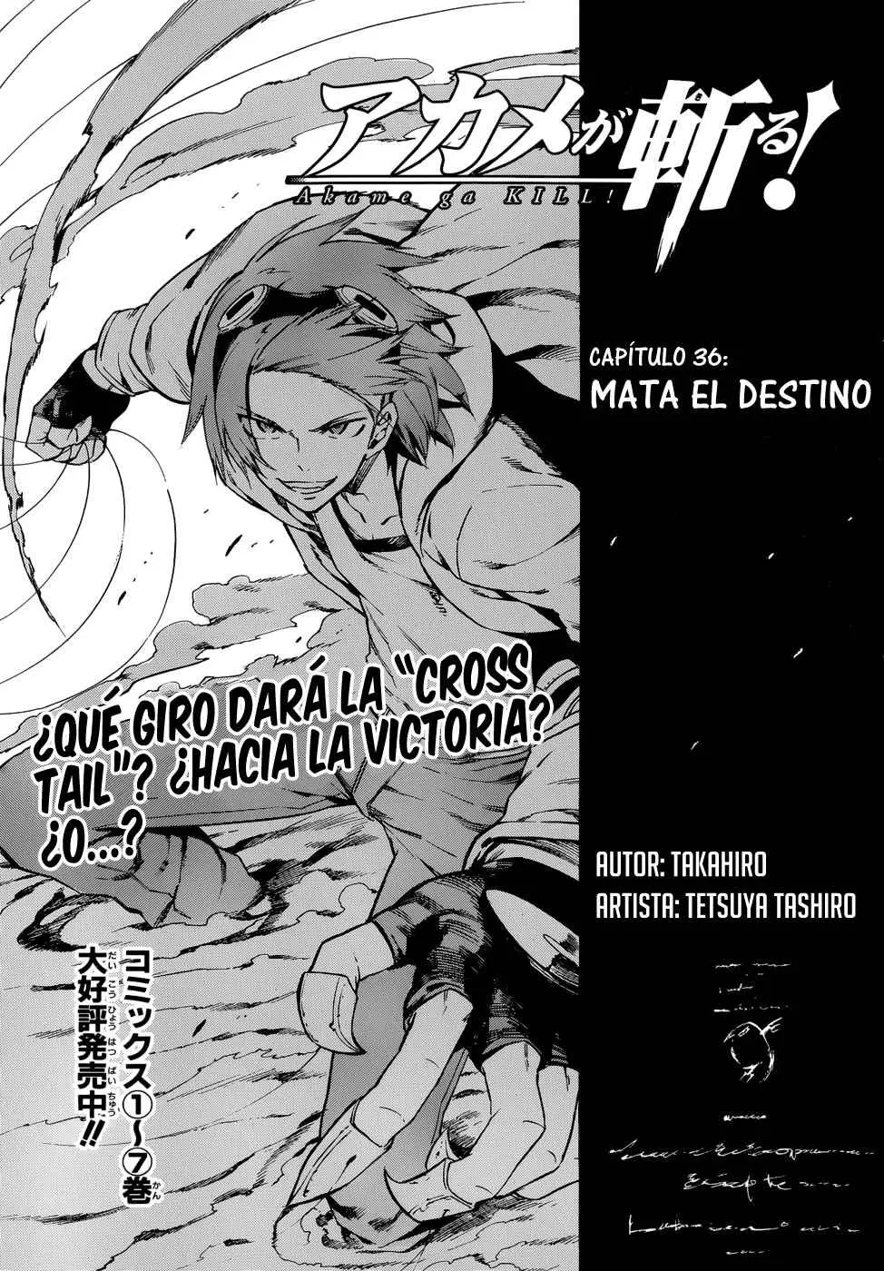 Akame ga Kill! capítulo 36, página 5