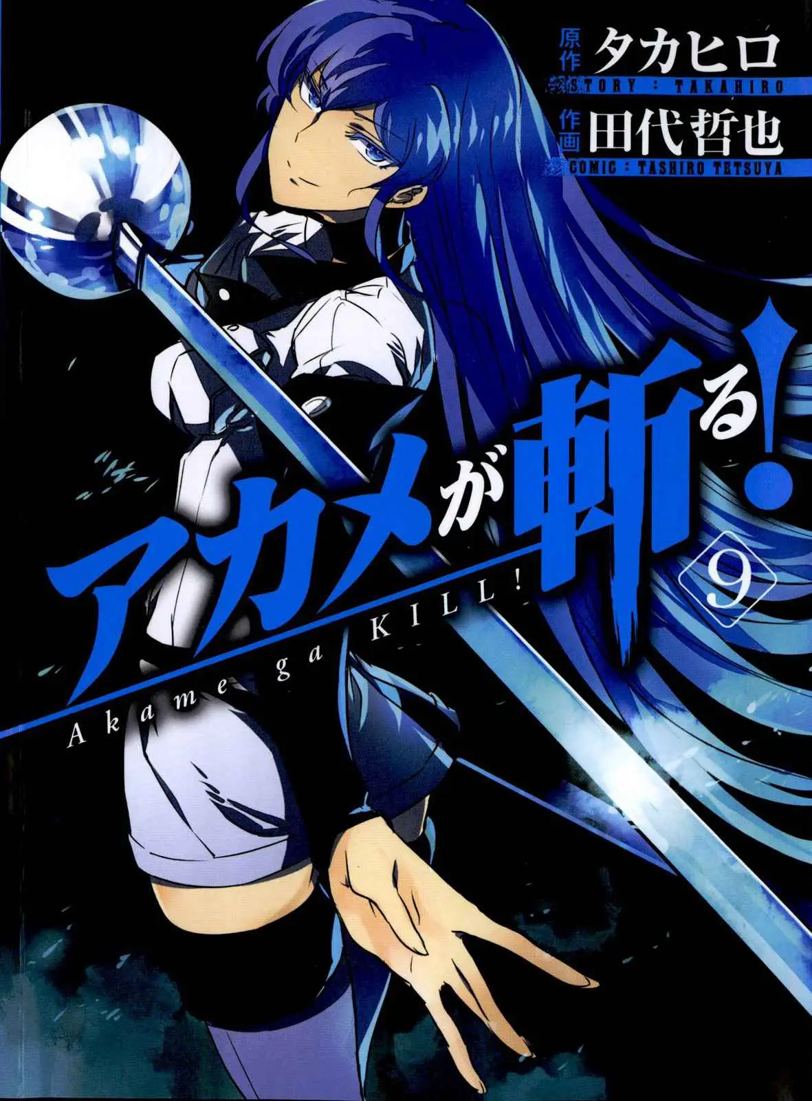 Akame ga Kill! capítulo 39, página 1