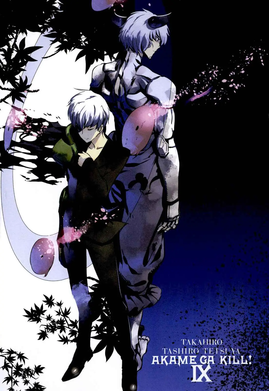 Akame ga Kill! capítulo 39, página 2
