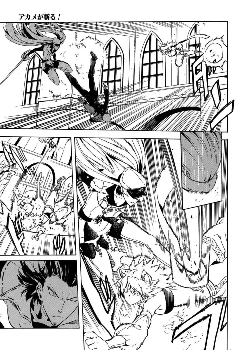 Akame ga Kill! capítulo 41, página 37