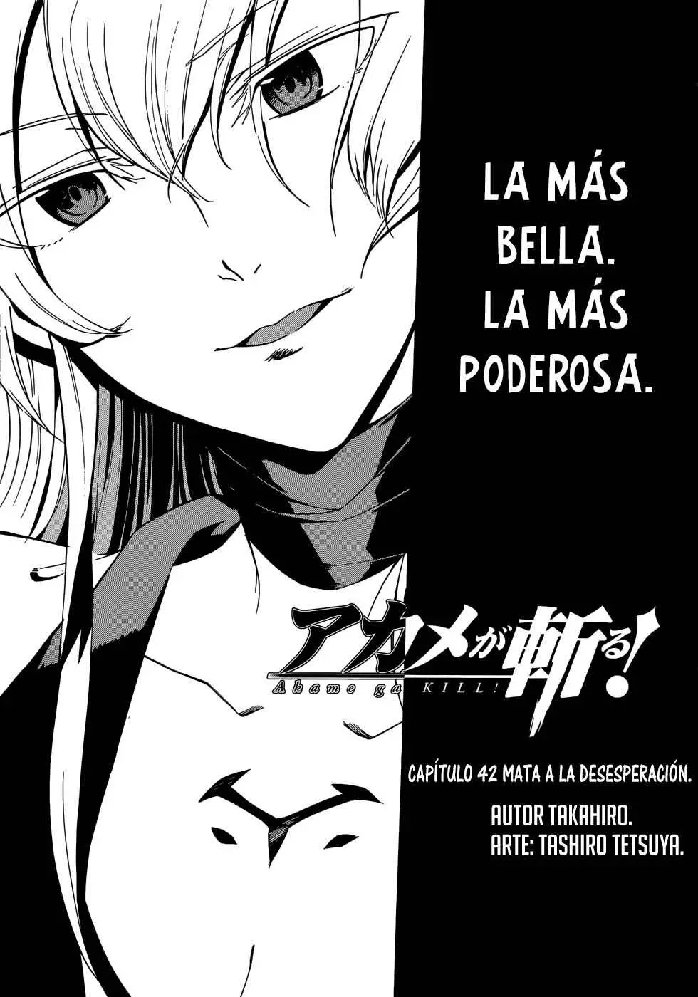 Akame ga Kill! capítulo 42, página 3