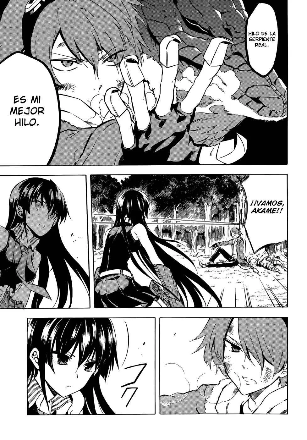 Akame ga Kill! capítulo 42, página 9
