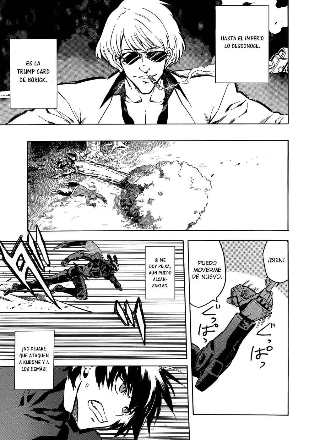 Akame ga Kill! capítulo 42, página 13