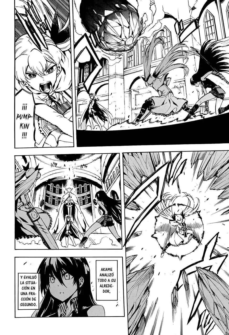 Akame ga Kill! capítulo 43, página 6