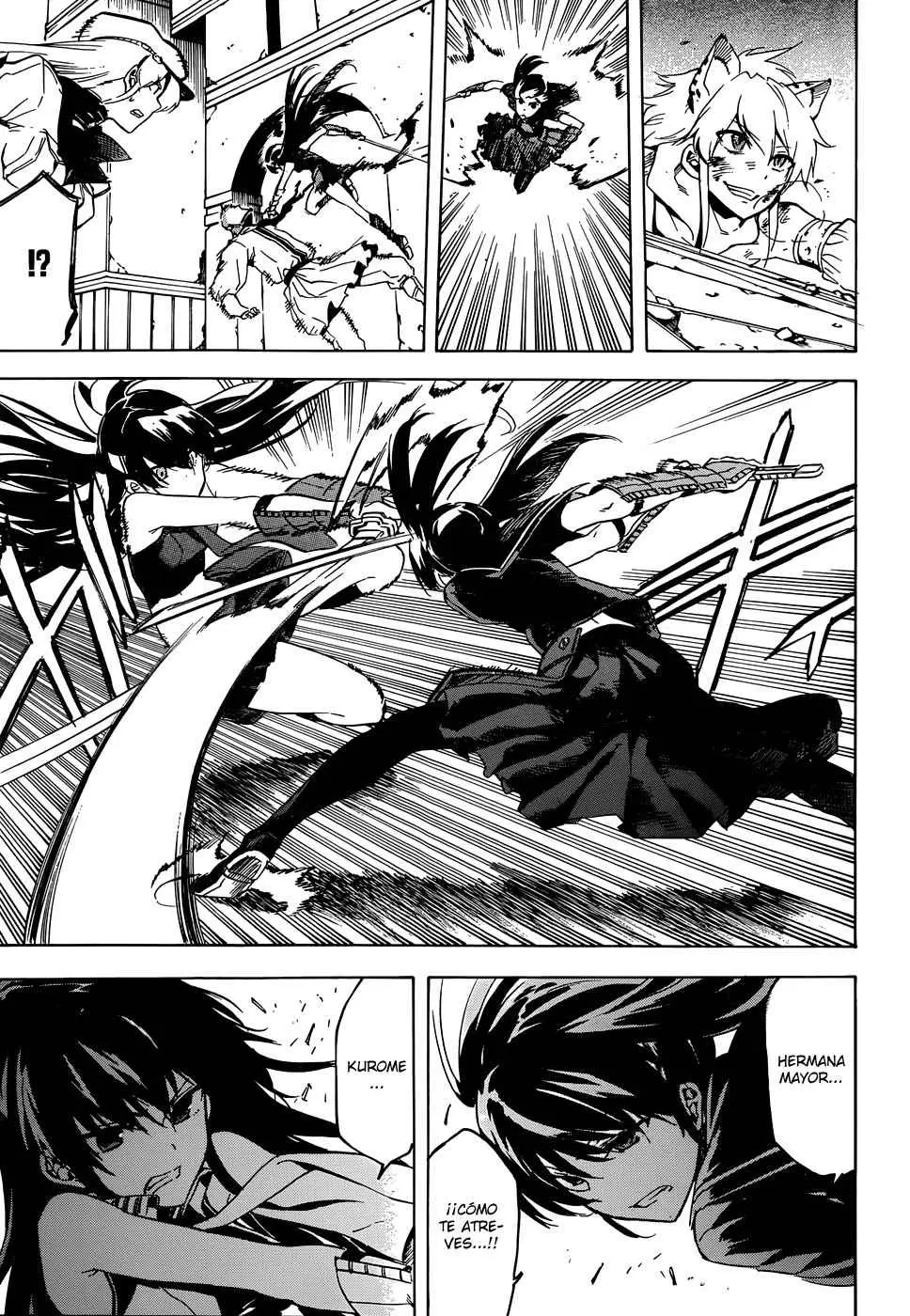 Akame ga Kill! capítulo 43, página 11
