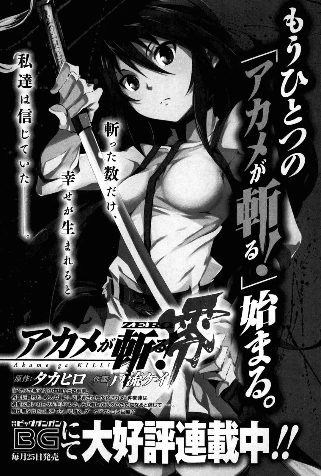 Akame ga Kill! capítulo 43, página 44