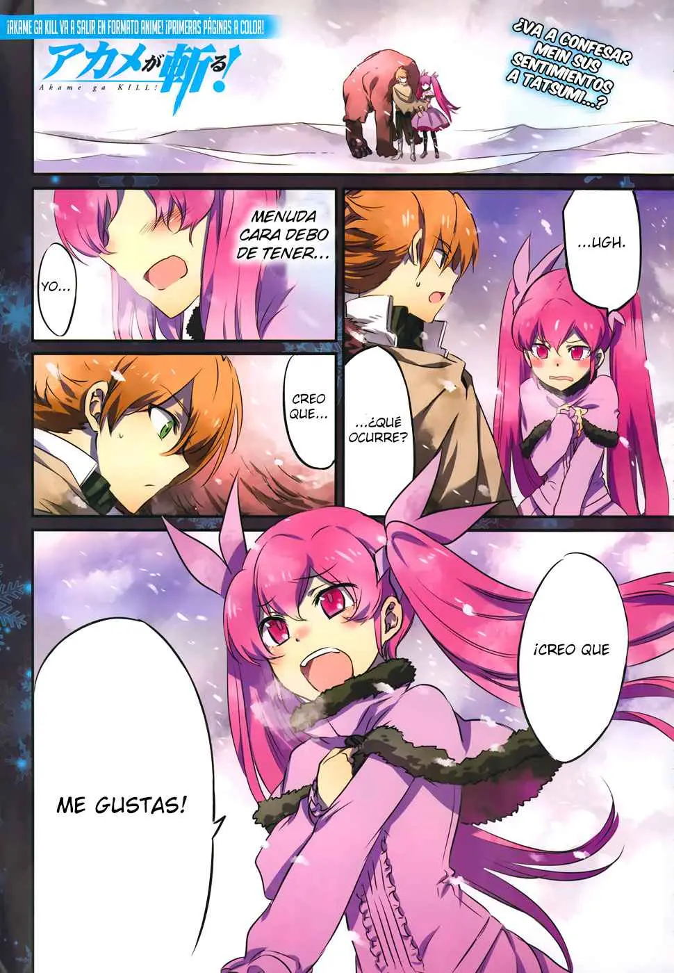 Akame ga Kill! capítulo 45, página 2