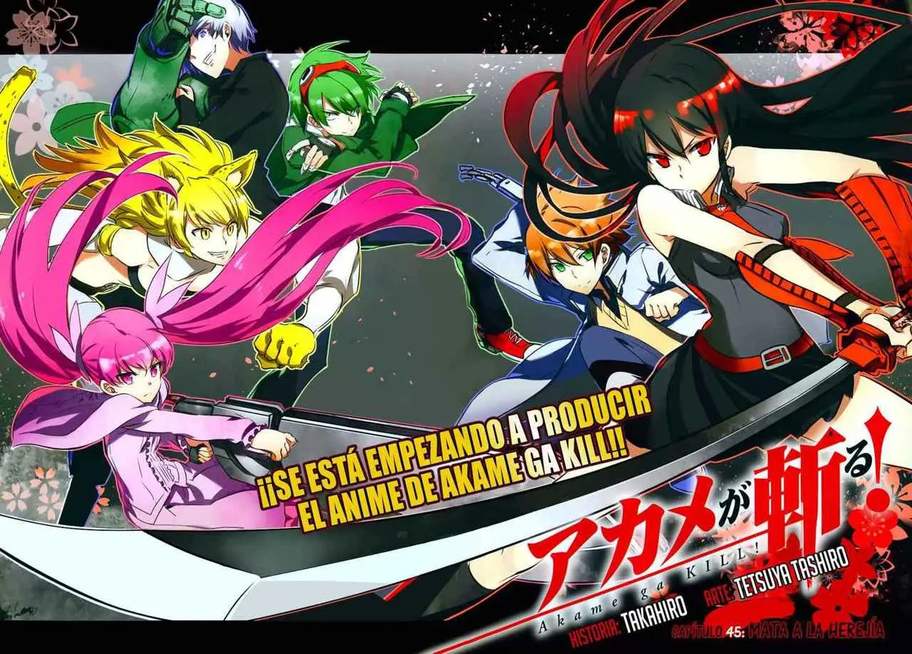 Akame ga Kill! capítulo 45, página 3