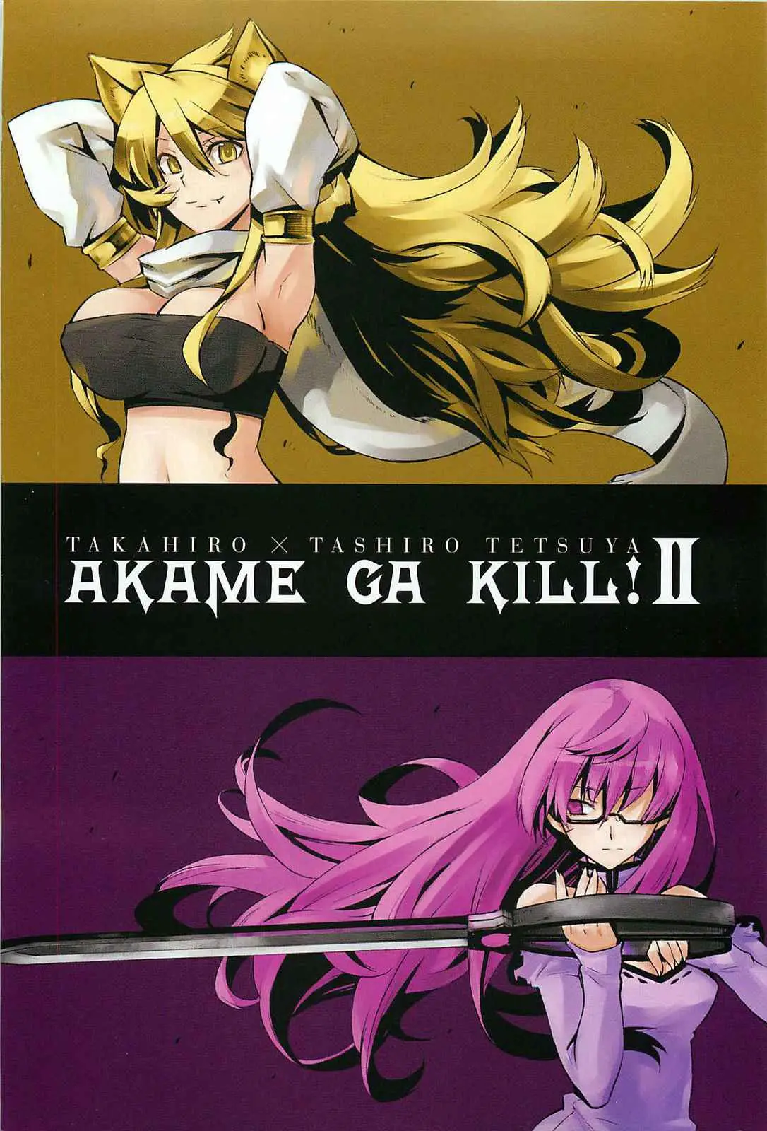 Akame ga Kill! capítulo 5, página 2